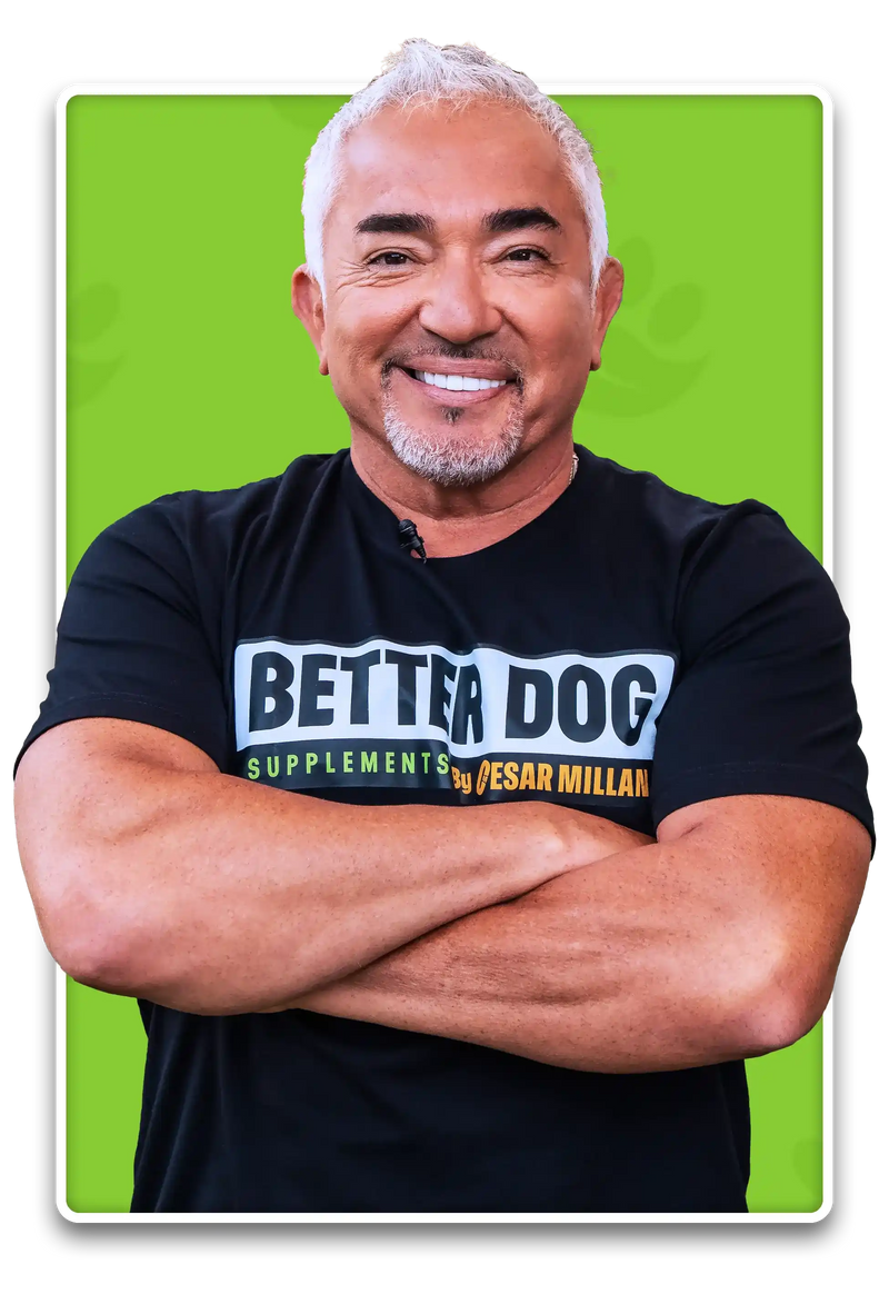 Man wearing a black 'Better Dog Supplements' t-shirt with arms crossed on a green background