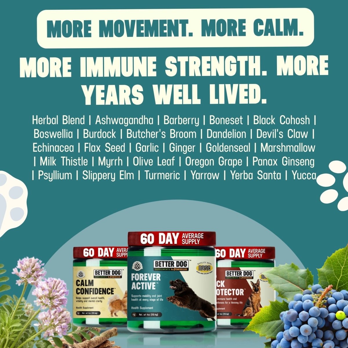 Better Dog Senior™ - Better Dog Supplements