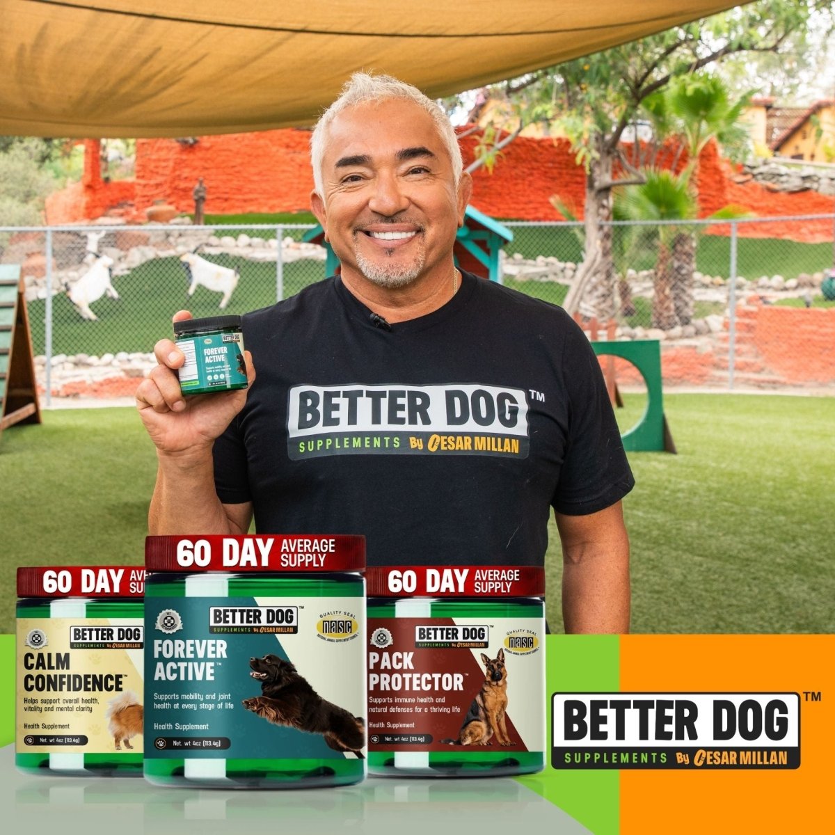 Better Dog Senior™ - Better Dog Supplements