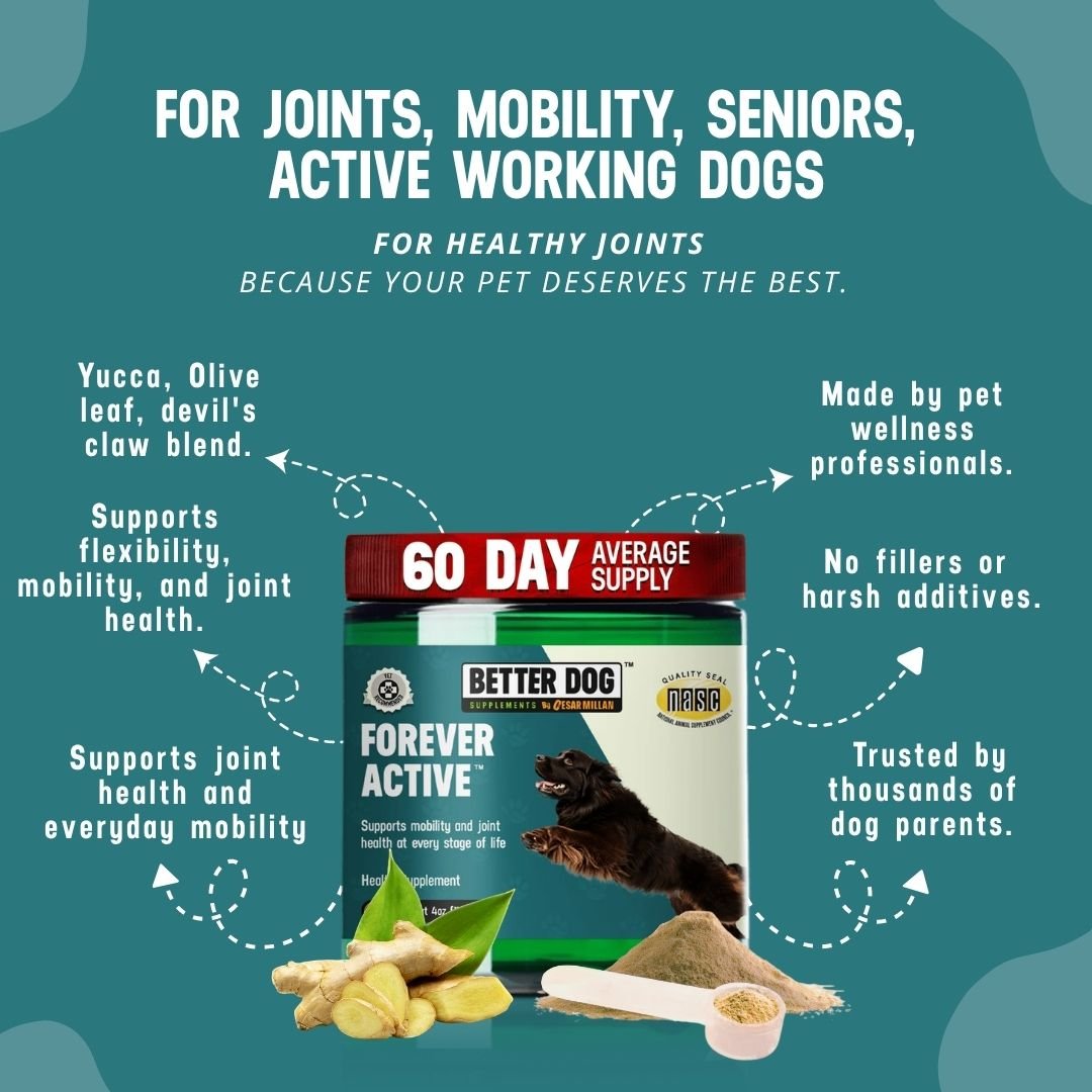 Better Dog Senior™ - Better Dog Supplements