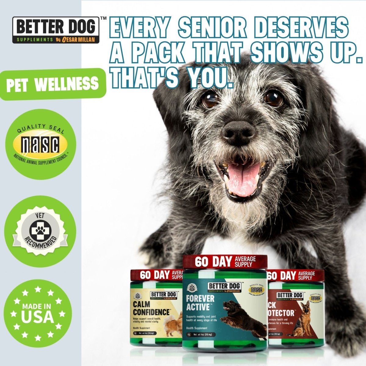 Better Dog Senior™ - Better Dog Supplements