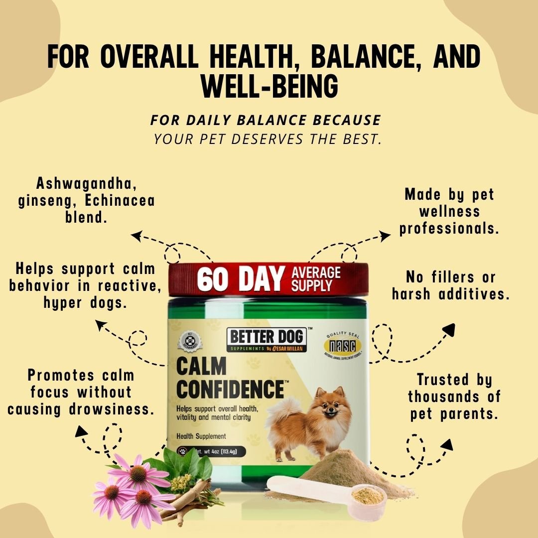 Better Dog Senior™ - Better Dog Supplements
