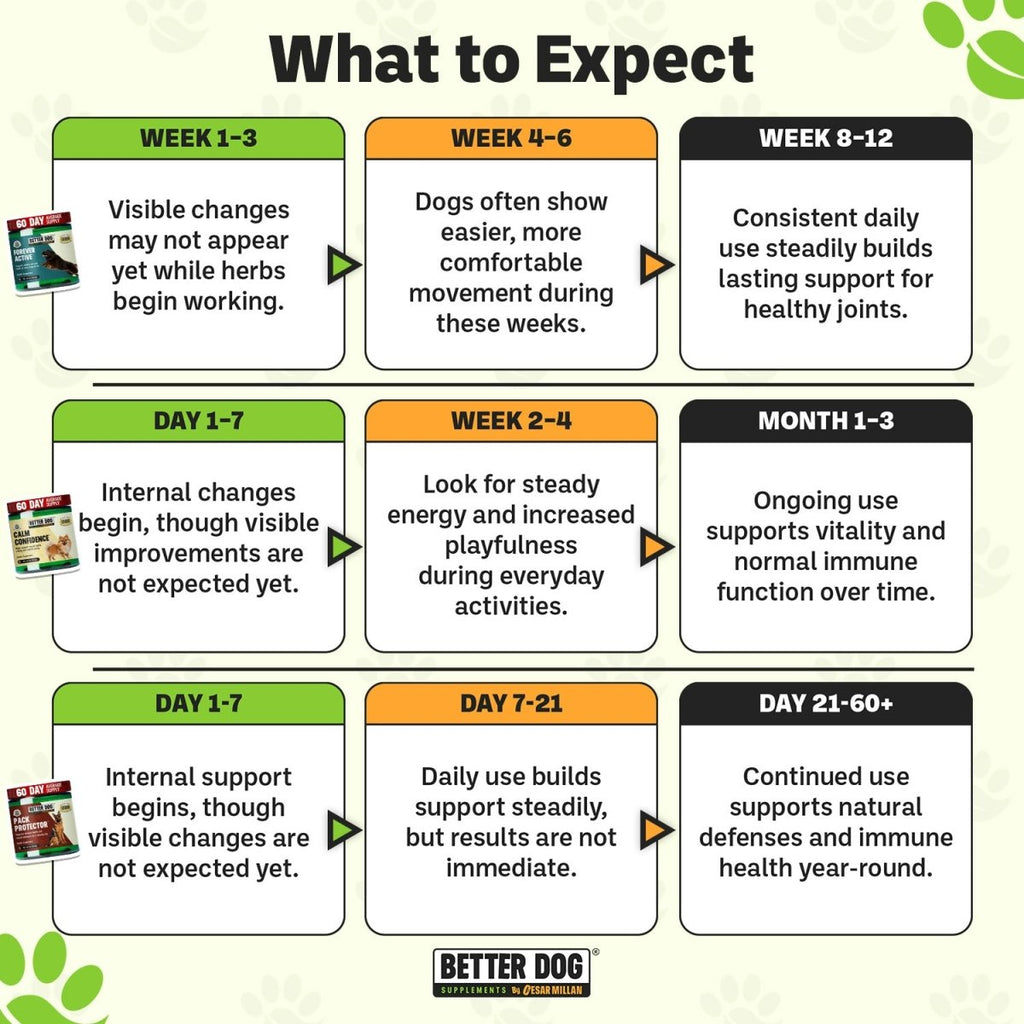 Better Dog Senior™ - Better Dog Supplements