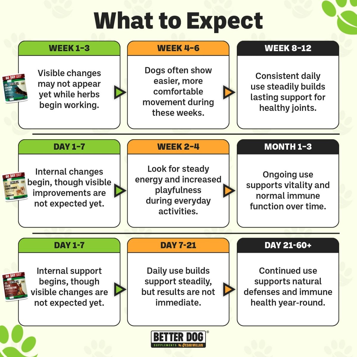 Better Dog Senior™ - Better Dog Supplements