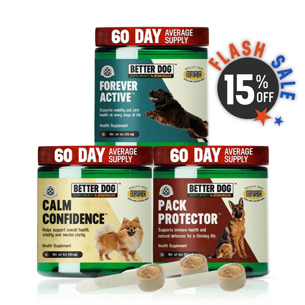 Better Dog Senior™ - Better Dog Supplements