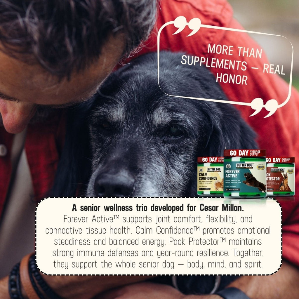 Better Dog Senior™ - Better Dog Supplements