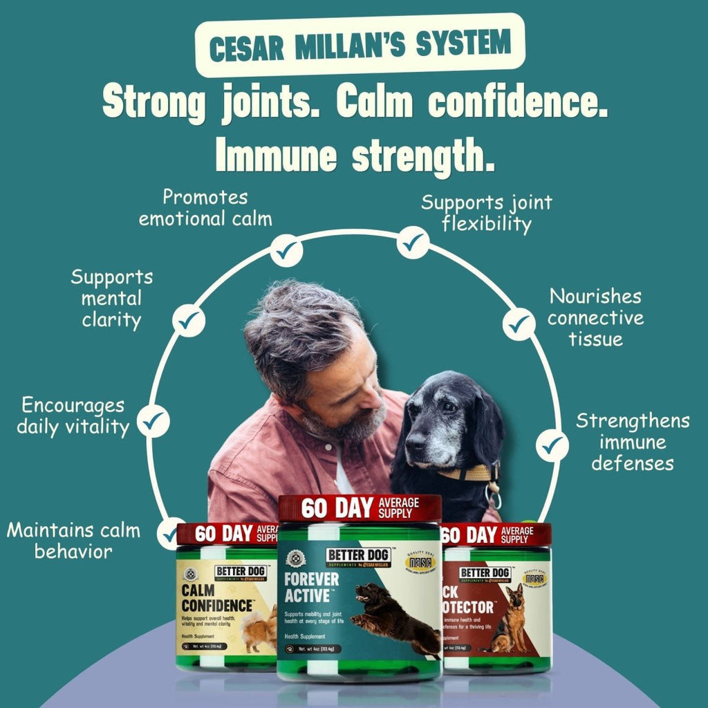 Better Dog Senior™ - Better Dog Supplements