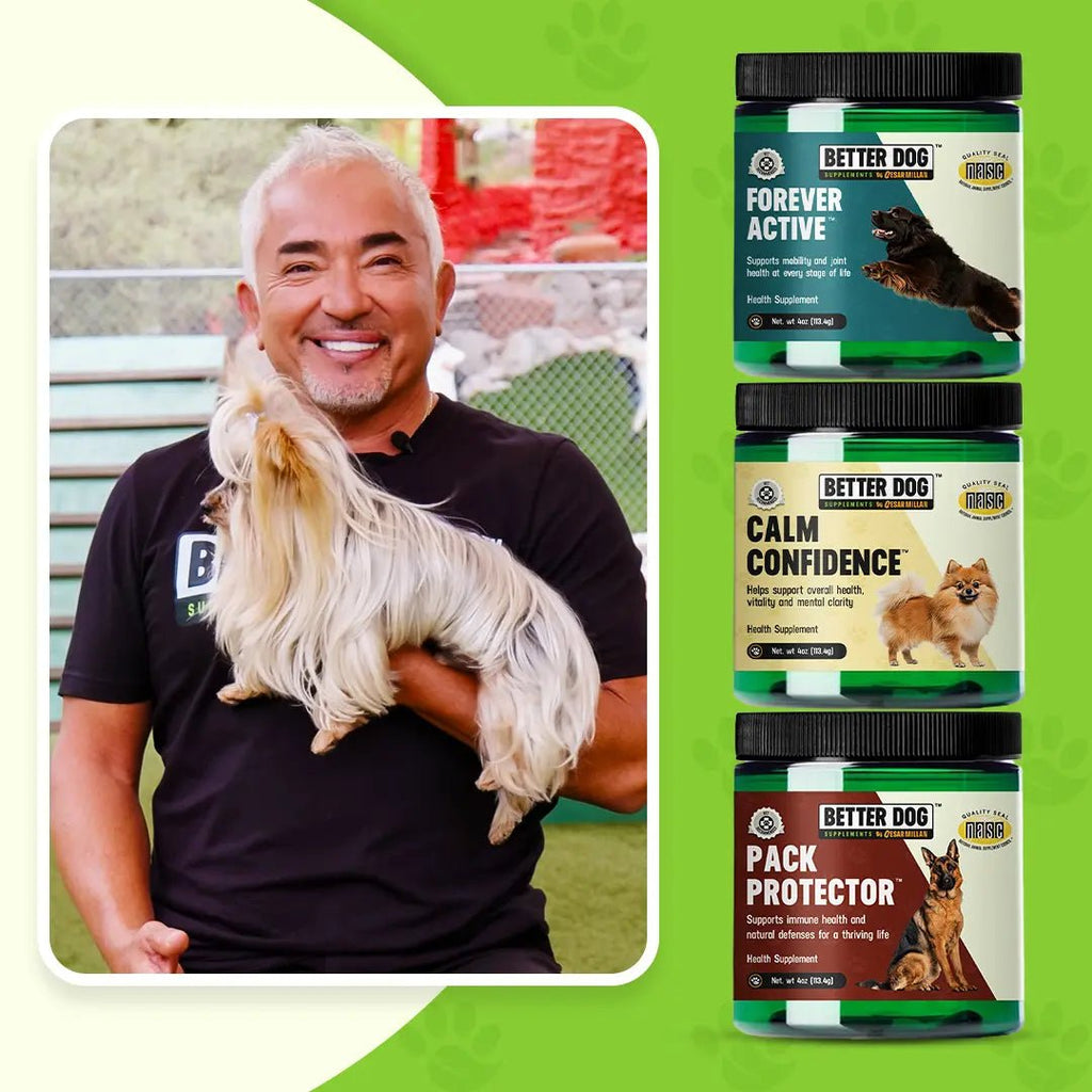 Better Dog Senior - Better Dog Supplements