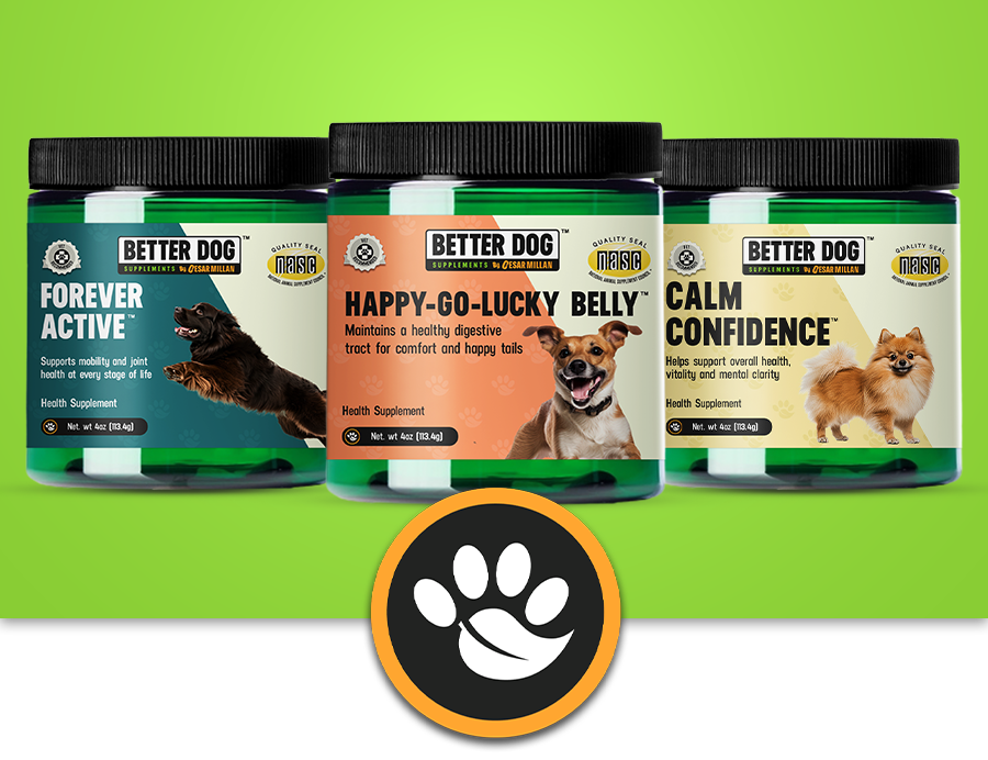 Forever Active, Happy-Go-Lucky Belly, and Calm Confidence