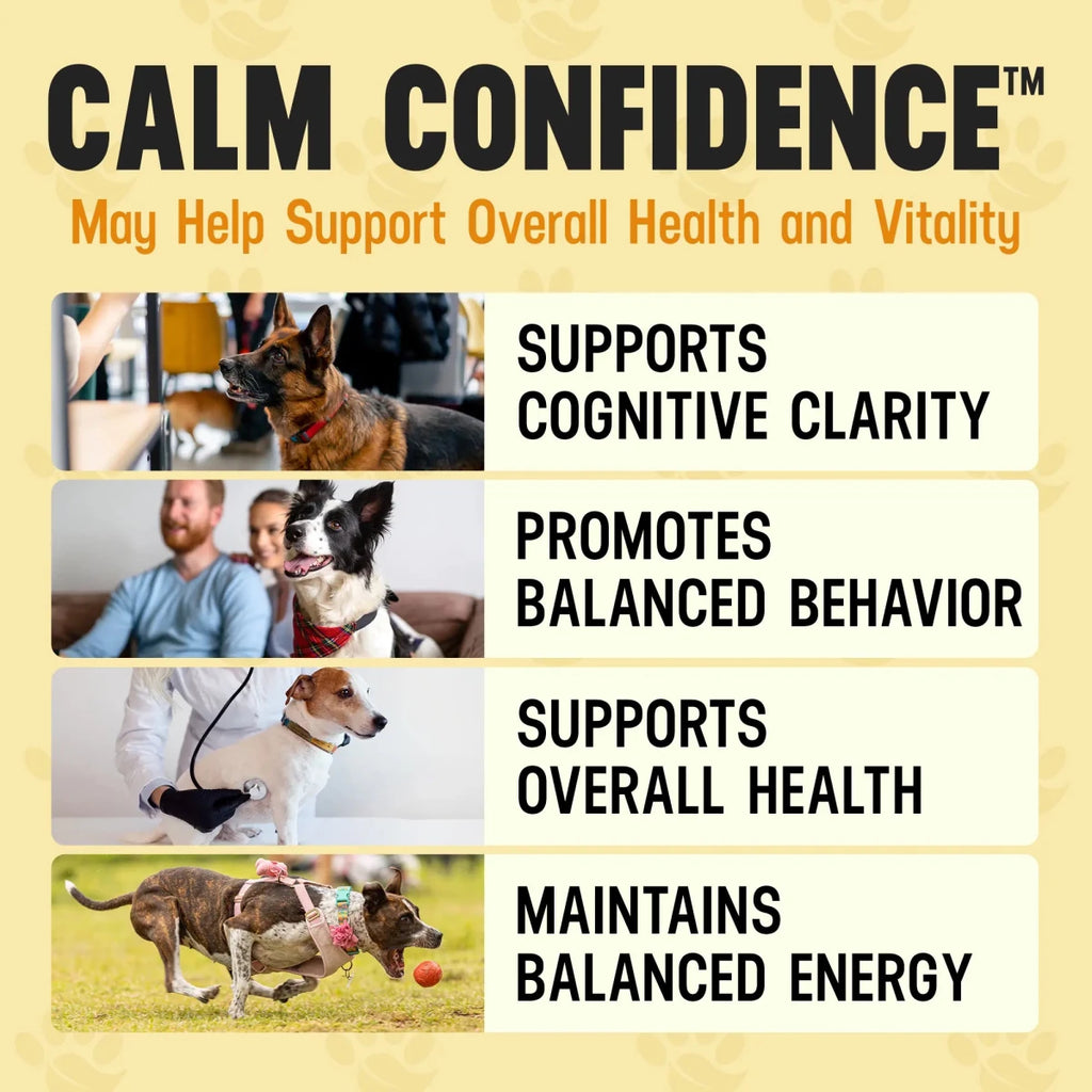Calm Confidence - Better Dog Supplements