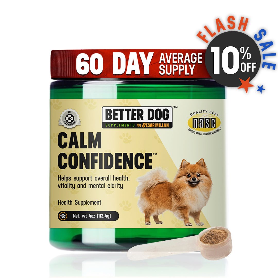 Shop Natural Dog Supplements | Cesar Millan – Better Dog USA
