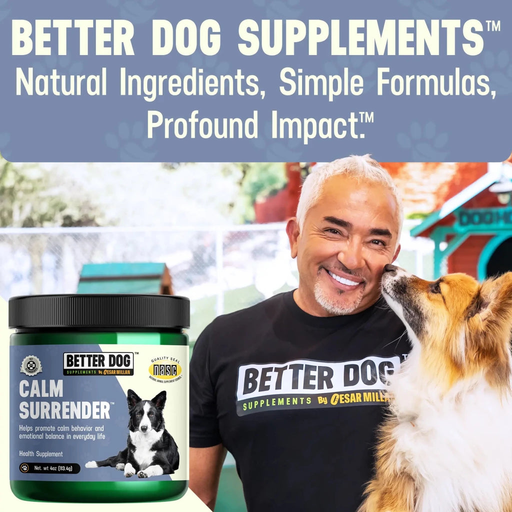 CALM SURRENDER™ - Better Dog Supplements