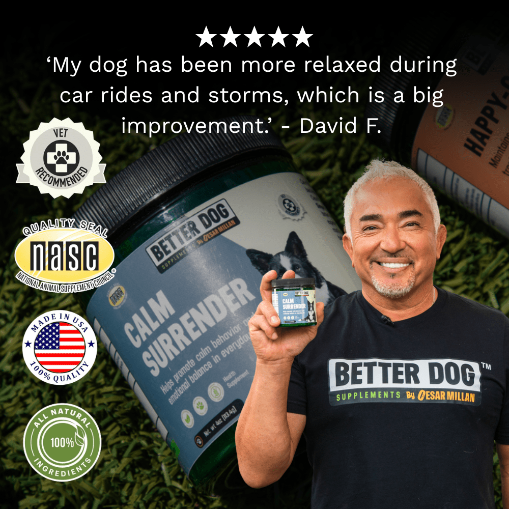 CALM SURRENDER™ - Better Dog Supplements