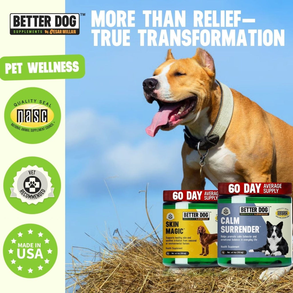 Calm Surrender + Skin Magic - Better Dog Supplements
