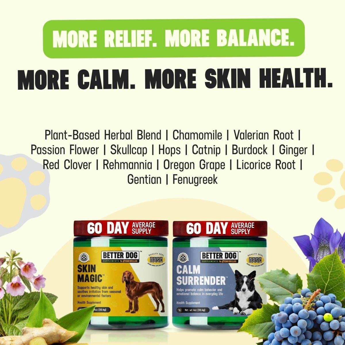 Calm Surrender + Skin Magic - Better Dog Supplements