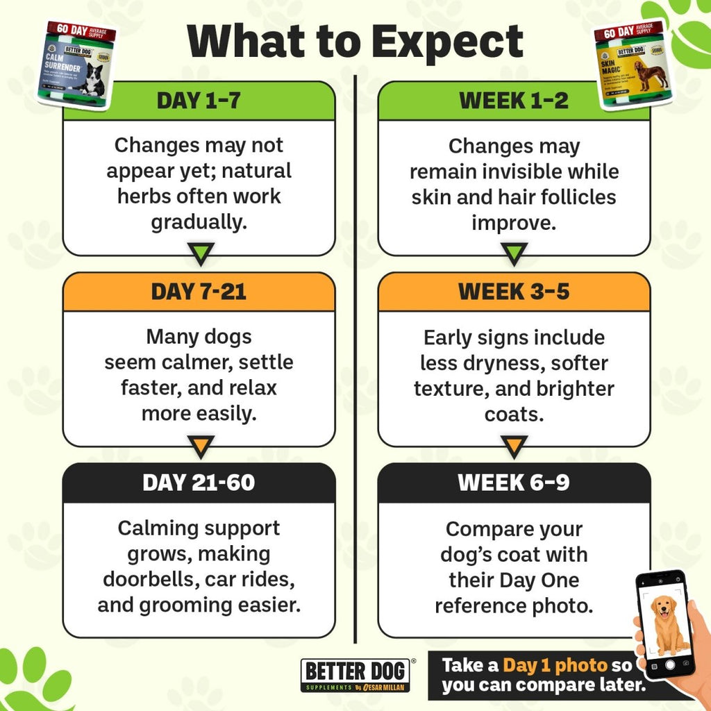 Calm Surrender + Skin Magic™ - Better Dog Supplements