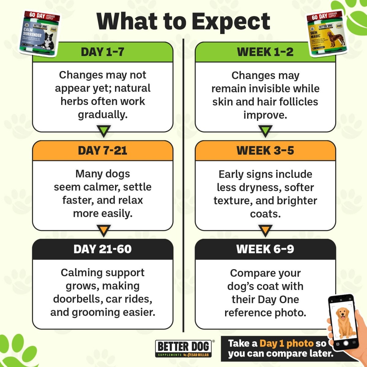 Calm Surrender + Skin Magic™ - Better Dog Supplements