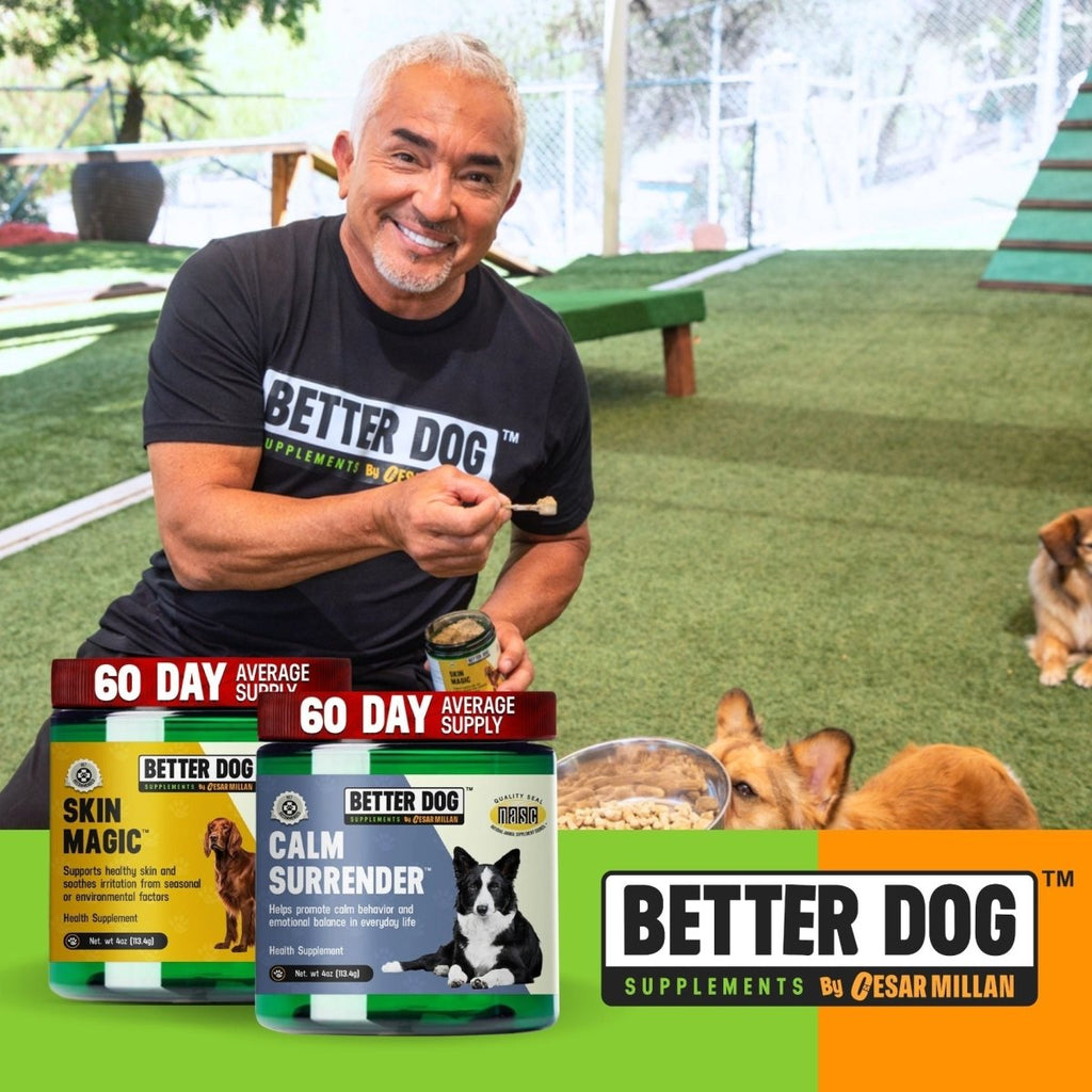 Calm Surrender + Skin Magic - Better Dog Supplements