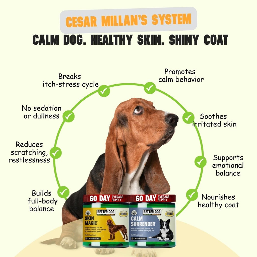 Calm Surrender + Skin Magic - Better Dog Supplements