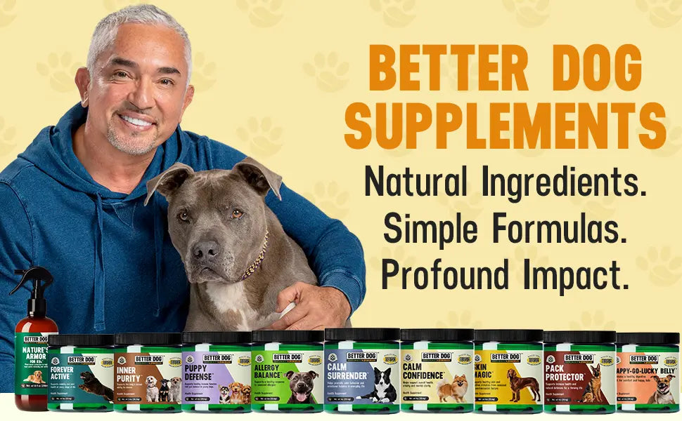 Man with a dog and a variety of pet supplement products on a beige background