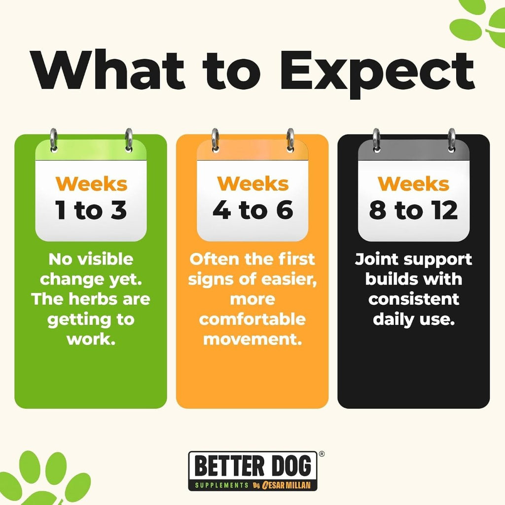 Forever Active™ - Better Dog Supplements