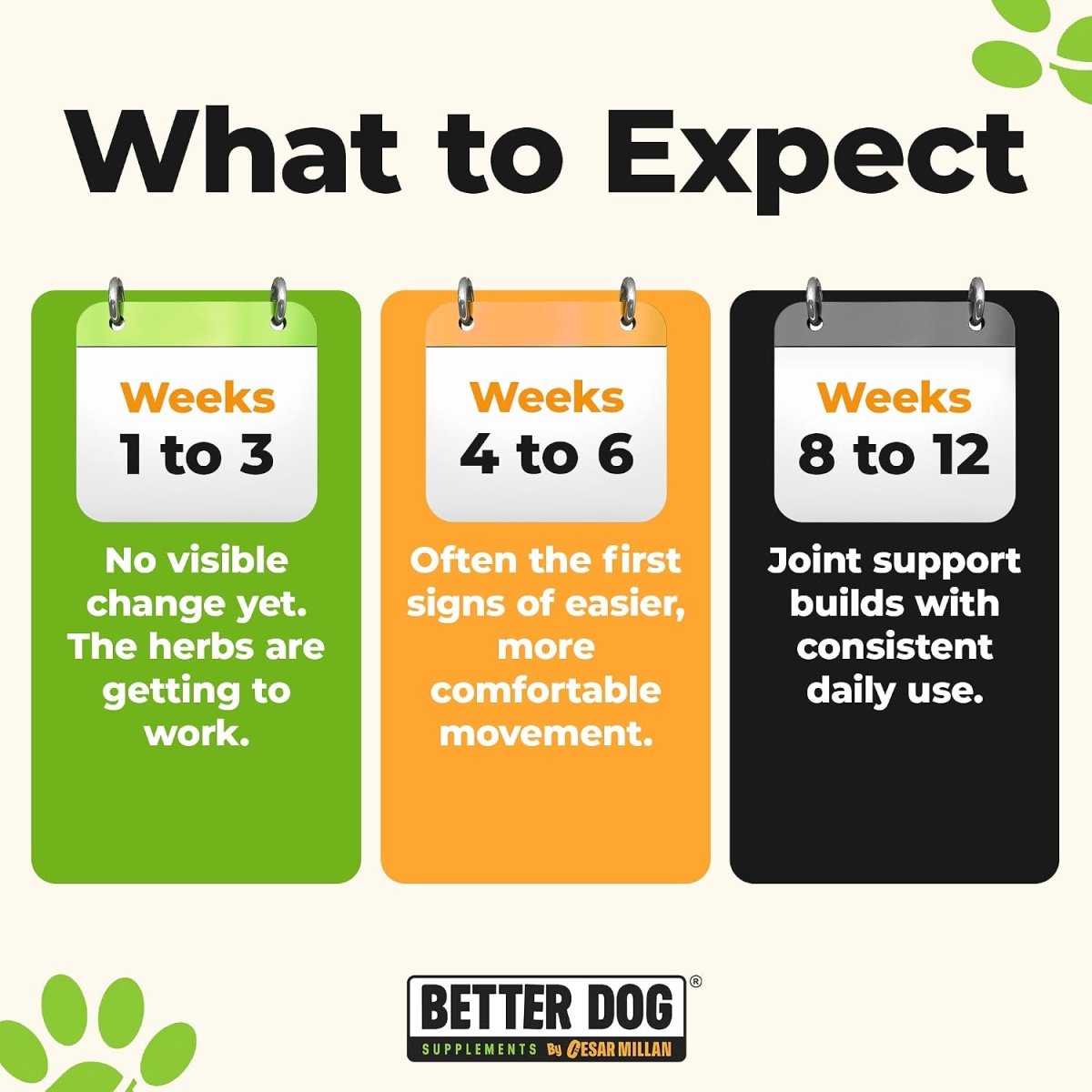 Forever Active™ - Better Dog Supplements