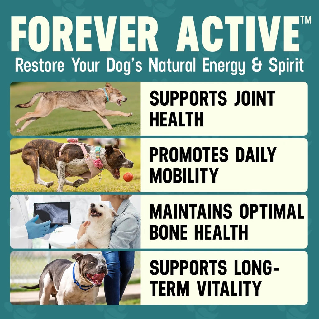 Forever Active - Better Dog Supplements
