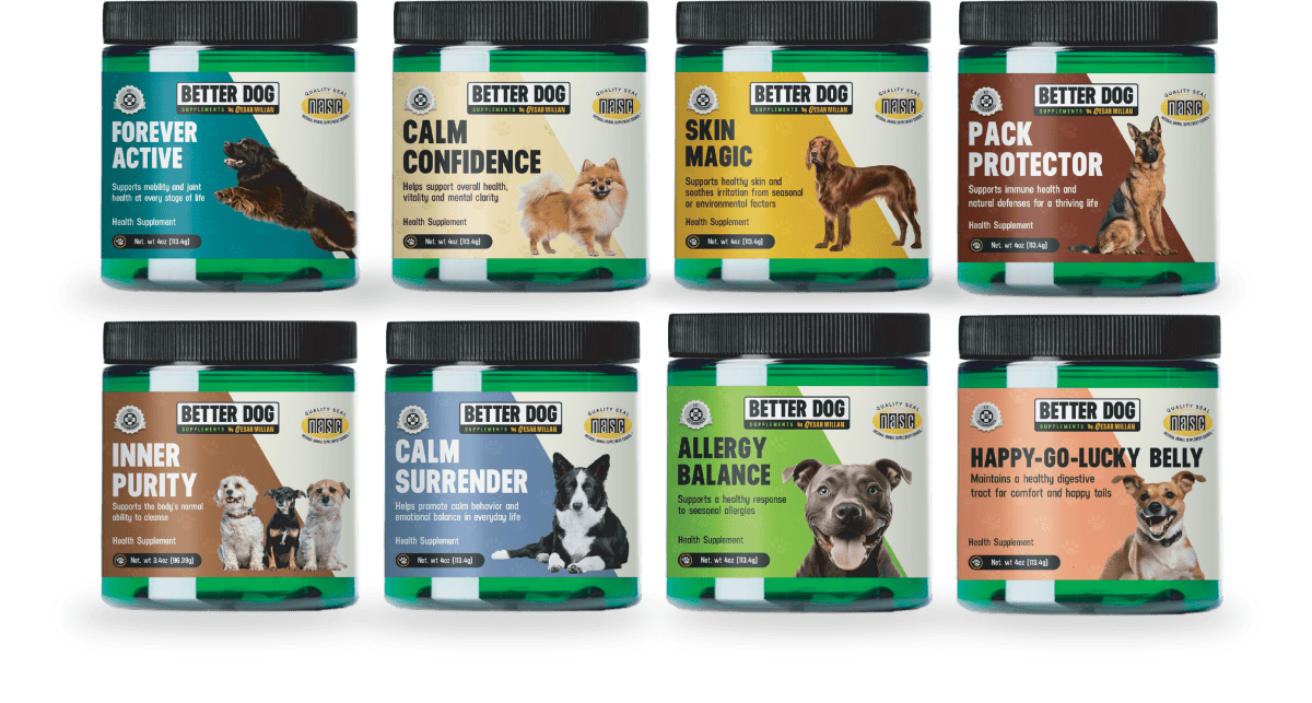 Gift Set Bundle - Better Dog Supplements
