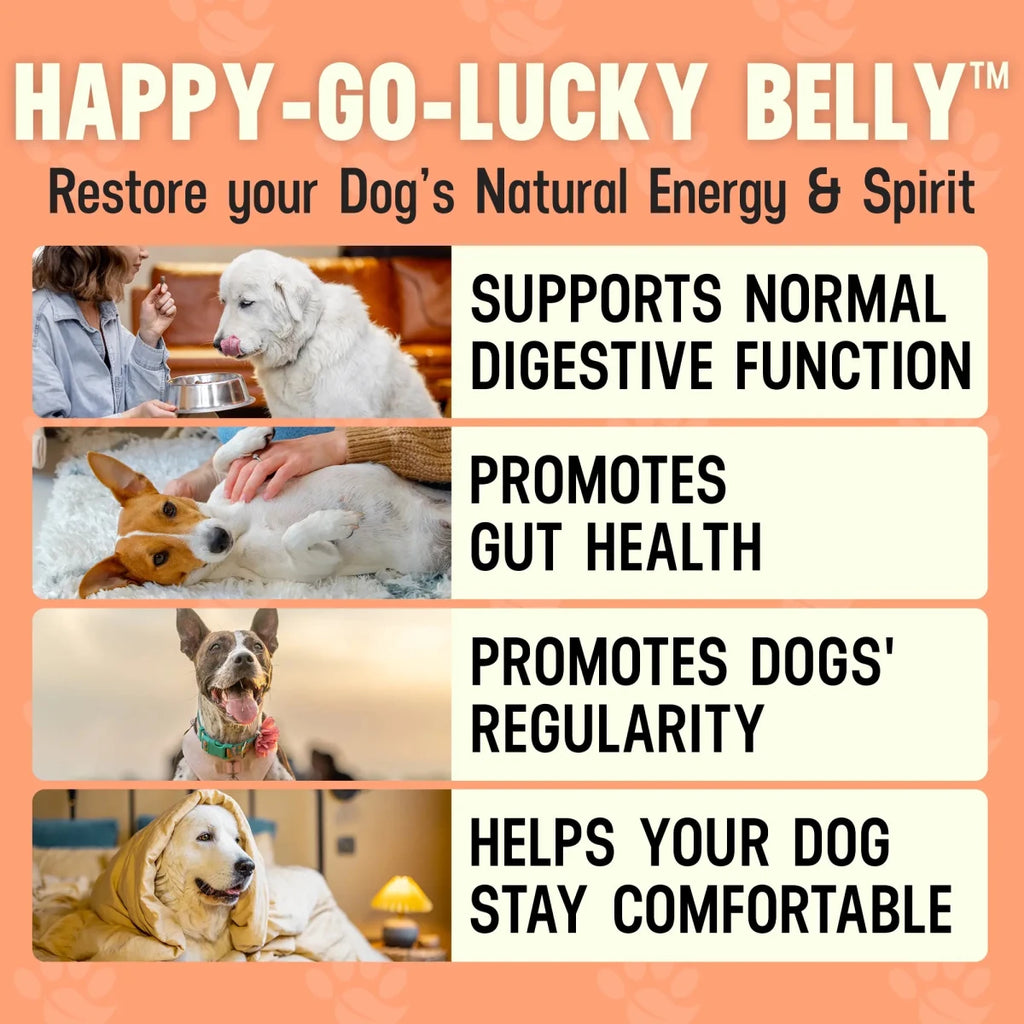Happy - Go - Lucky Belly - Better Dog Supplements