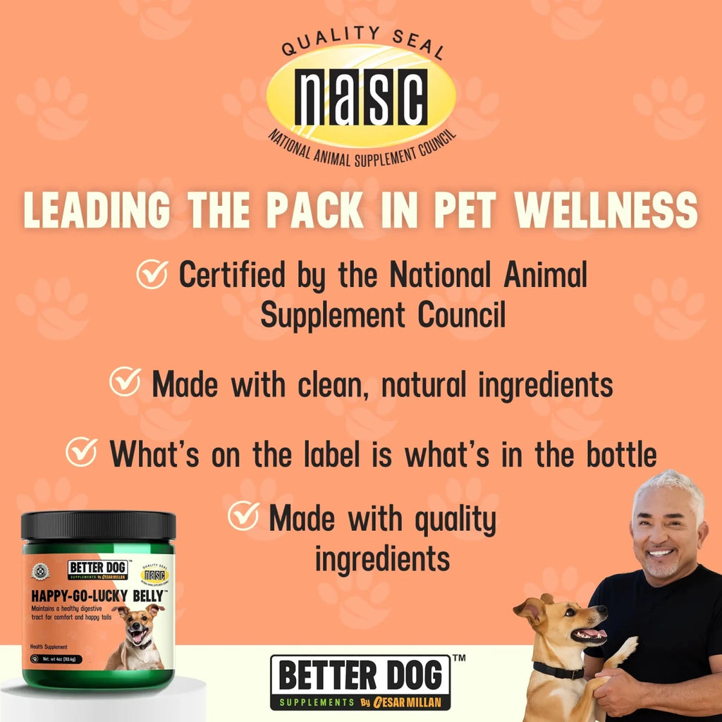 Happy - Go - Lucky Belly - Better Dog Supplements