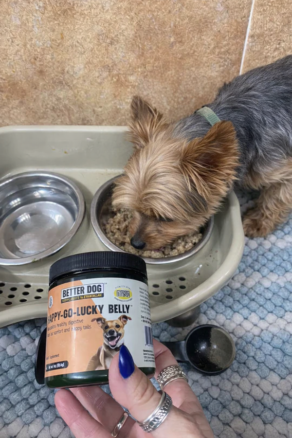 Keeps My Doggy Feeling Great