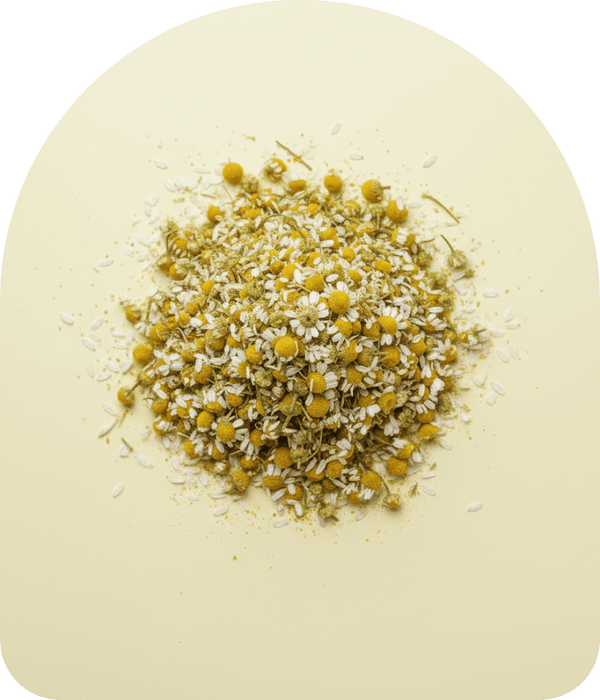 Chamomile