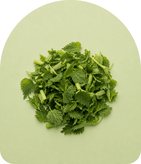 Nettle