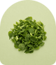 Nettle