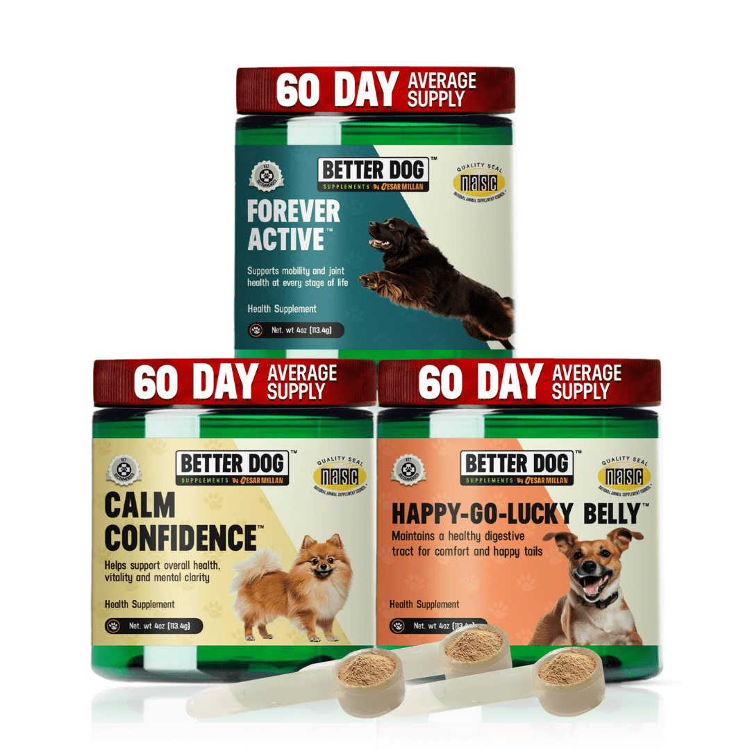 Overall Wellness Bundle™ - Better Dog Supplements