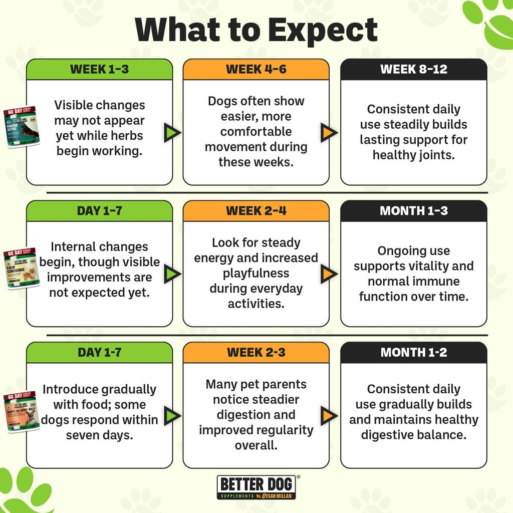 Overall Wellness Bundle™ - Better Dog Supplements