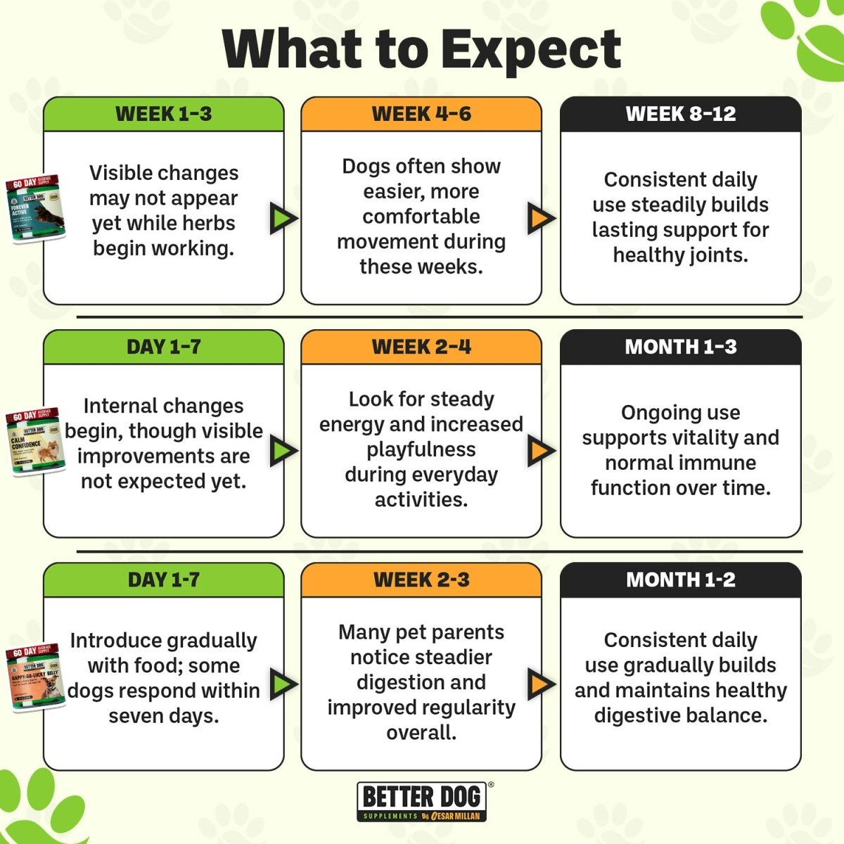 Overall Wellness Bundle™ - Better Dog Supplements