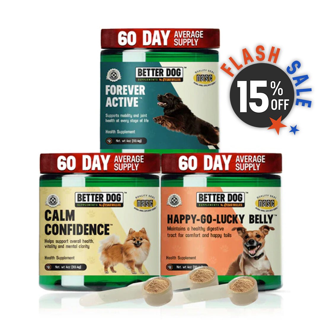 Overall Wellness Bundle™ - Better Dog Supplements