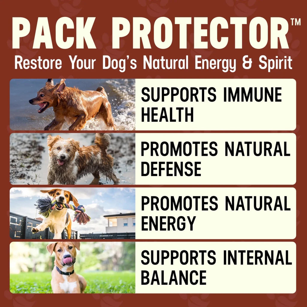 Pack Protector - Better Dog Supplements