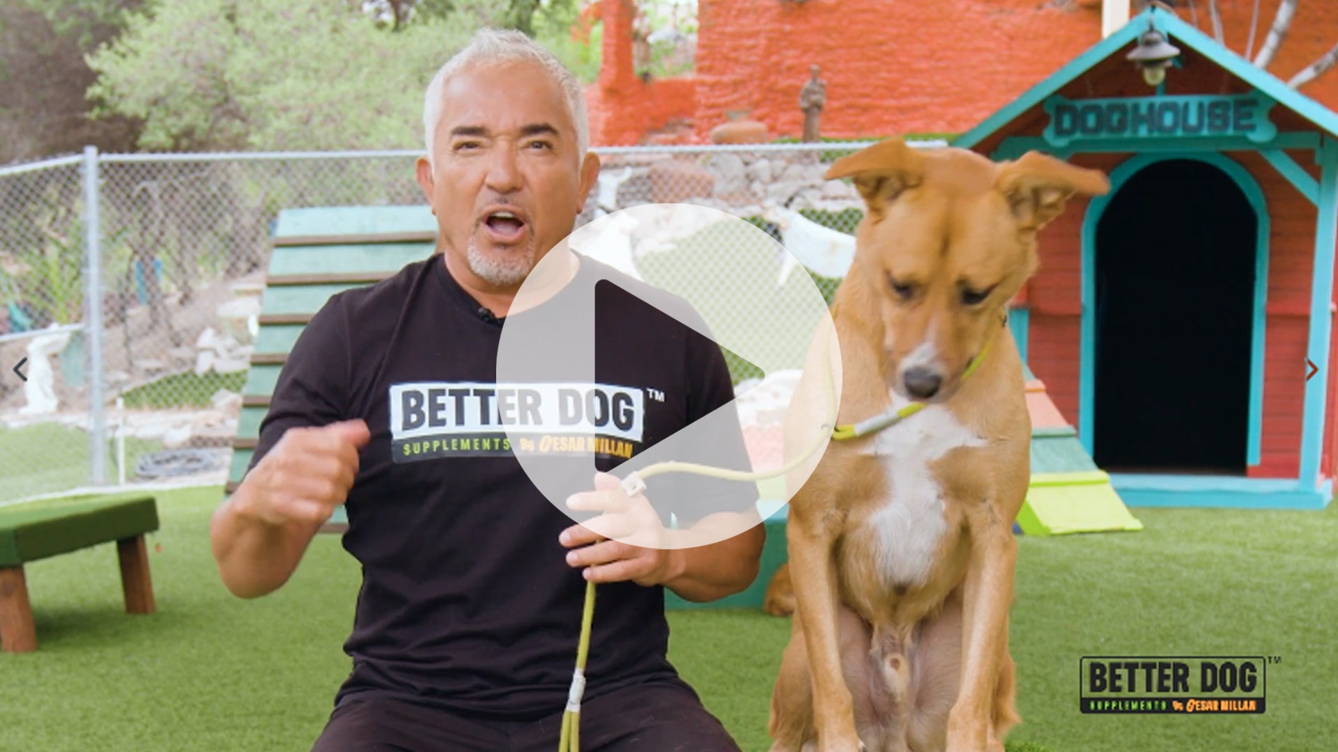 Calm Surrender Video