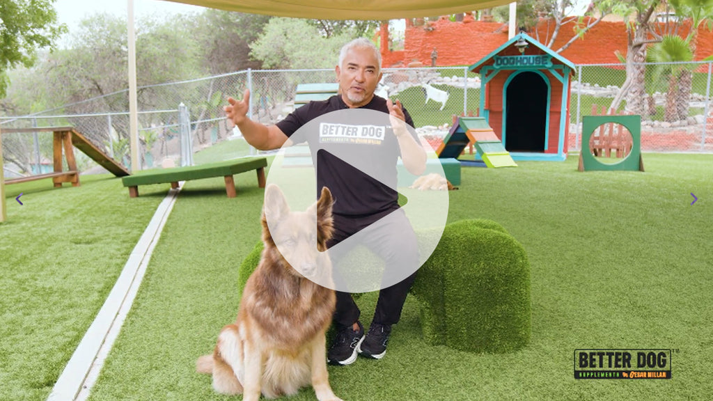 Forever Active Video