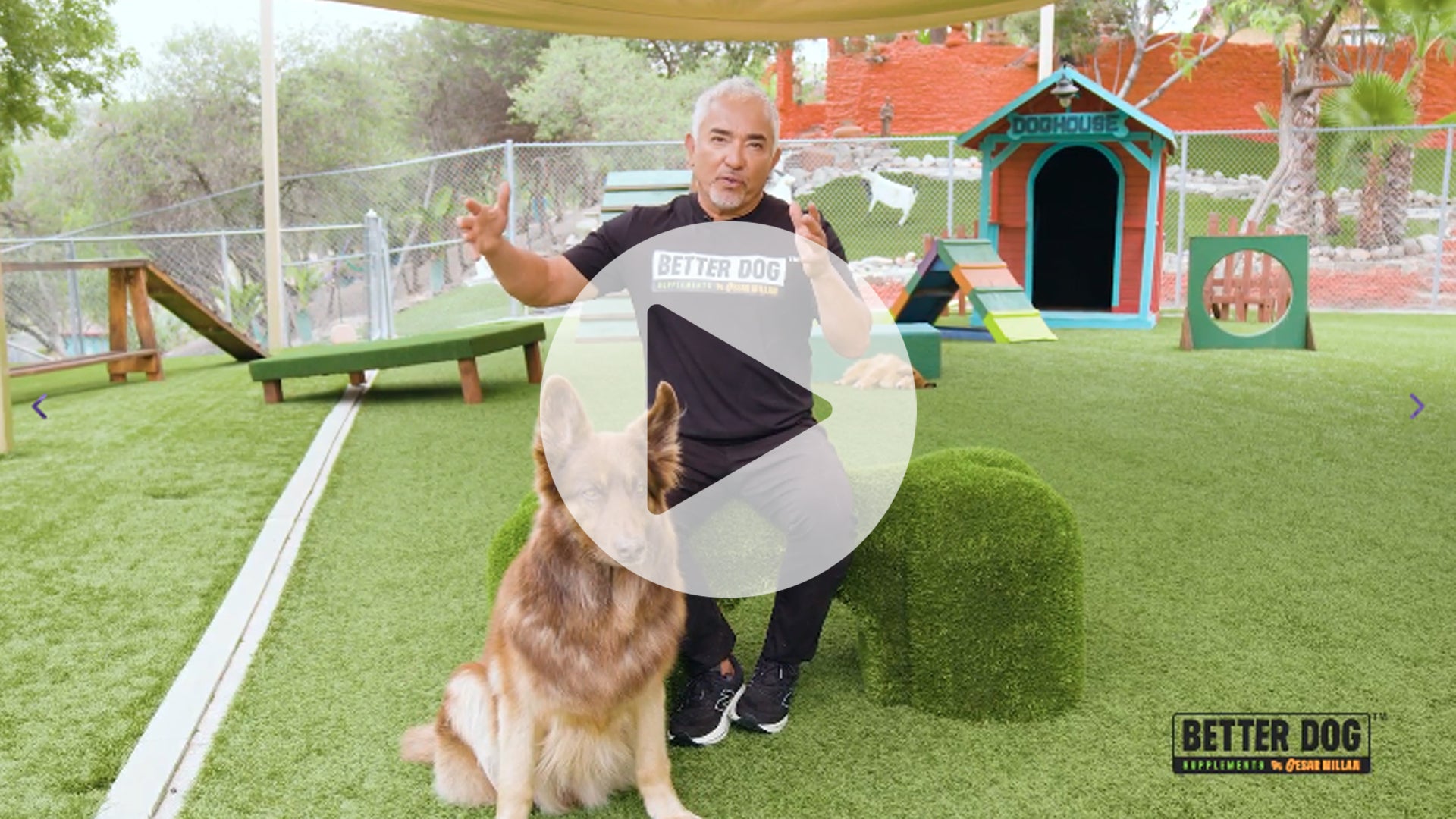 Forever Active Video