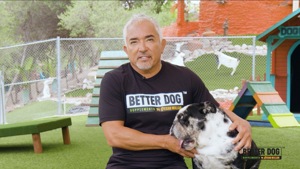 Calm Confidence Video