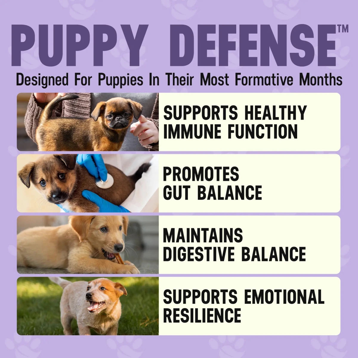 Puppy Defense - Better Dog Supplements