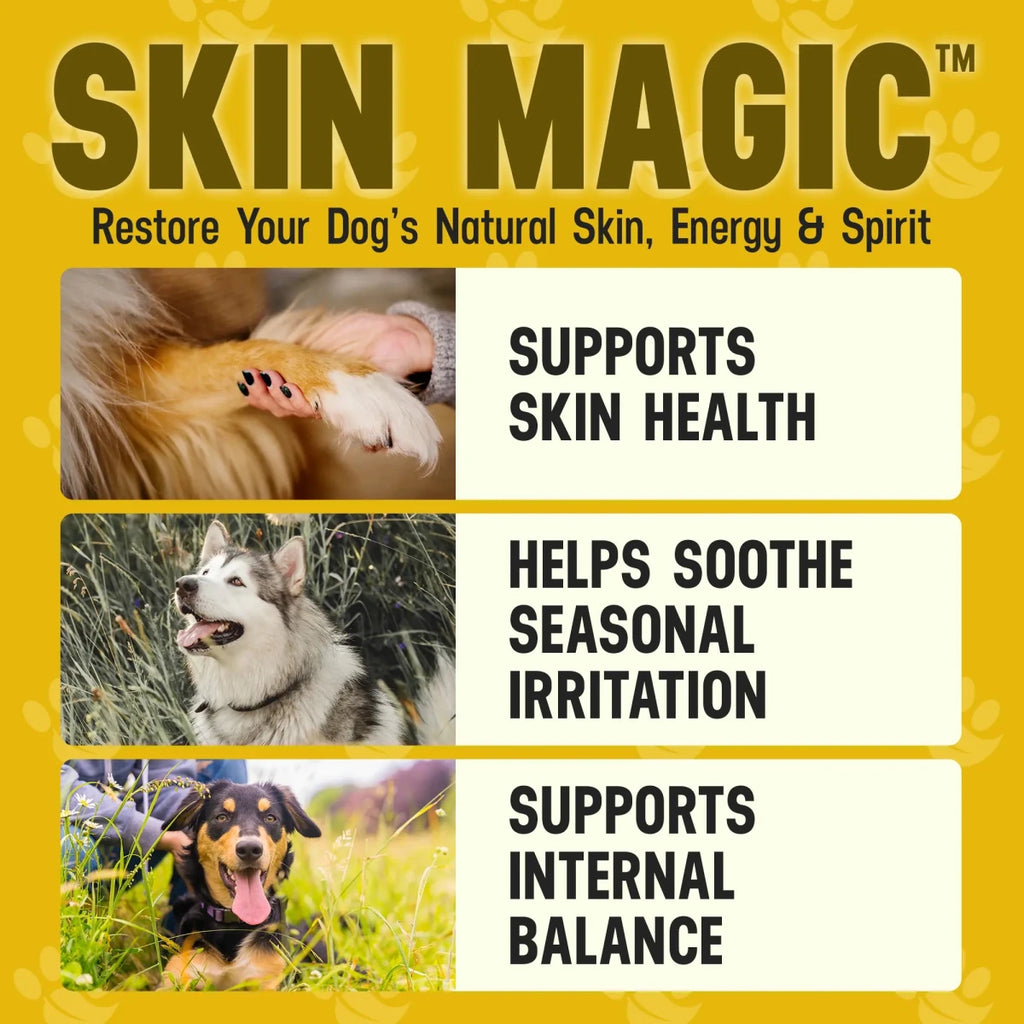 Skin Magic - Better Dog Supplements