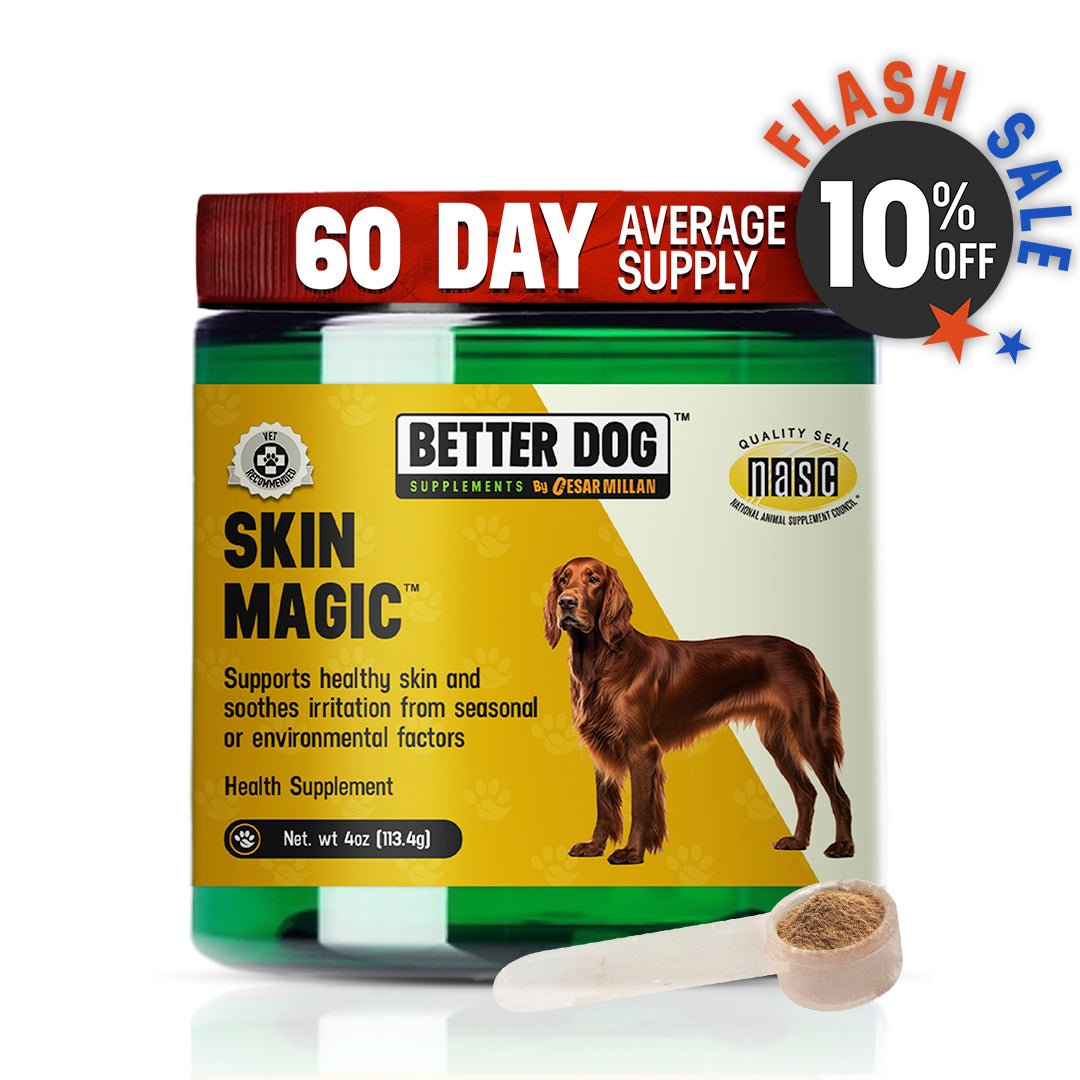 Skin Magic™ - Better Dog Supplements