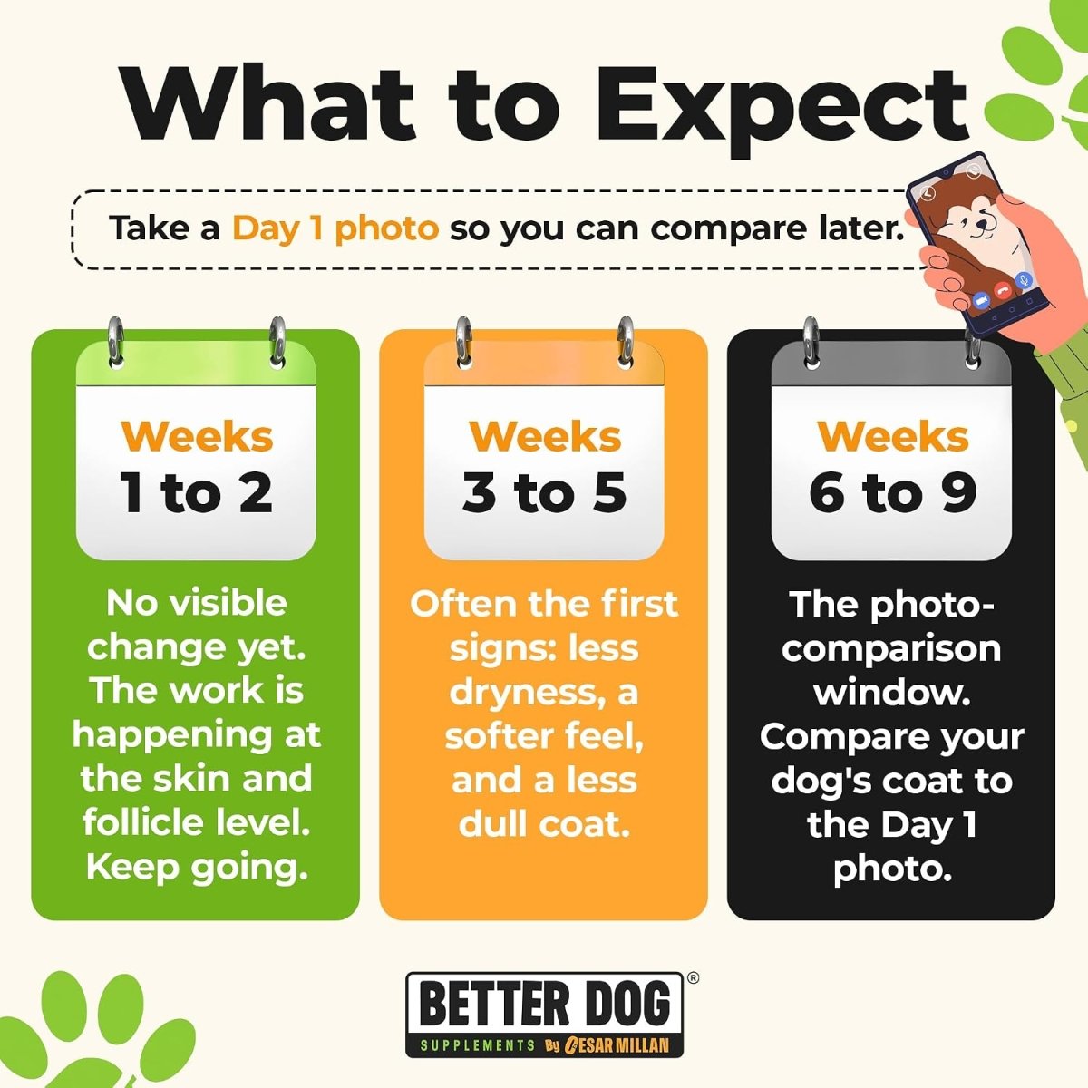 Skin Magic™ - Better Dog Supplements